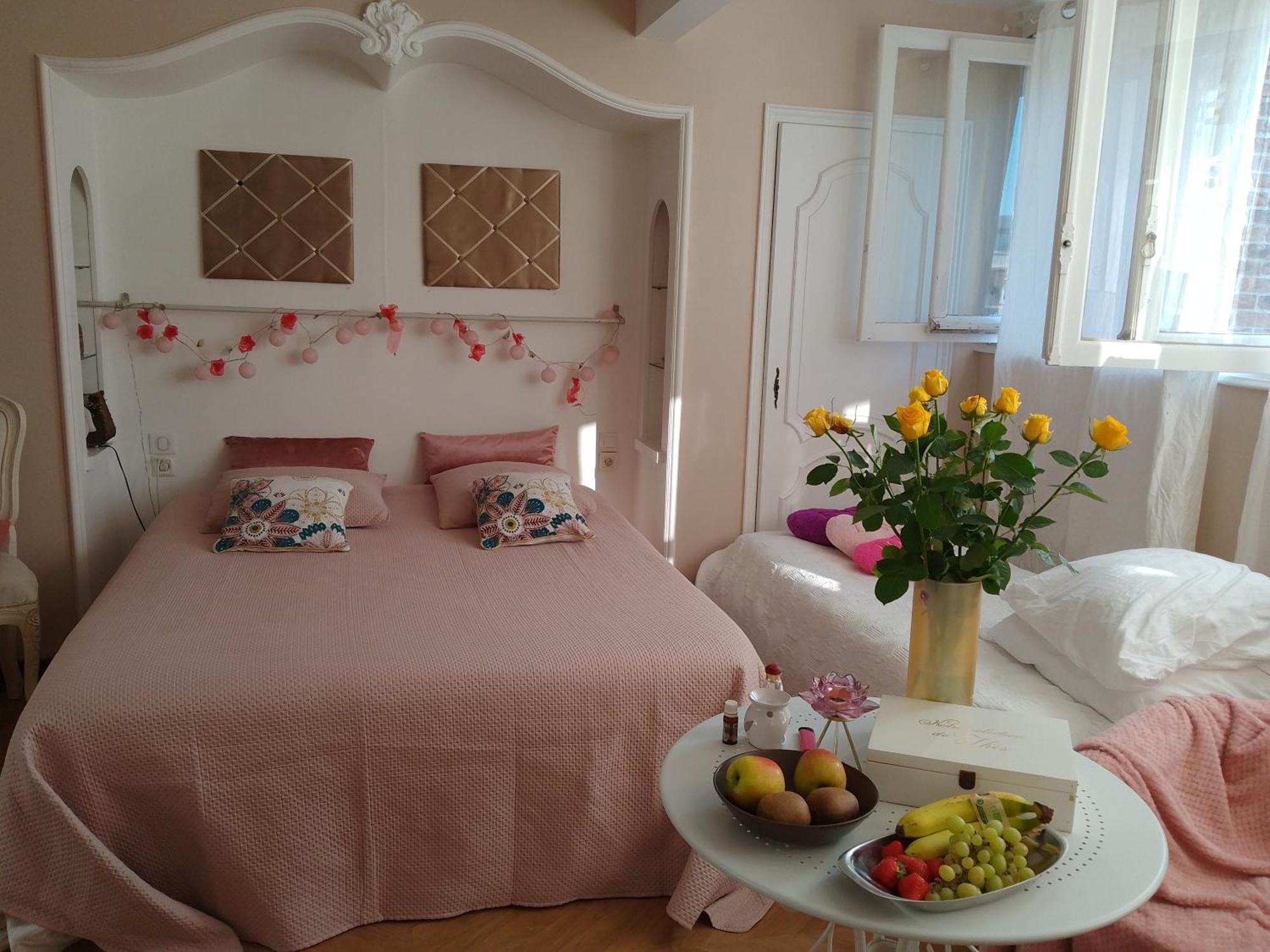 Apartment La Lilloise D'ascq Gd Stade Mauroy